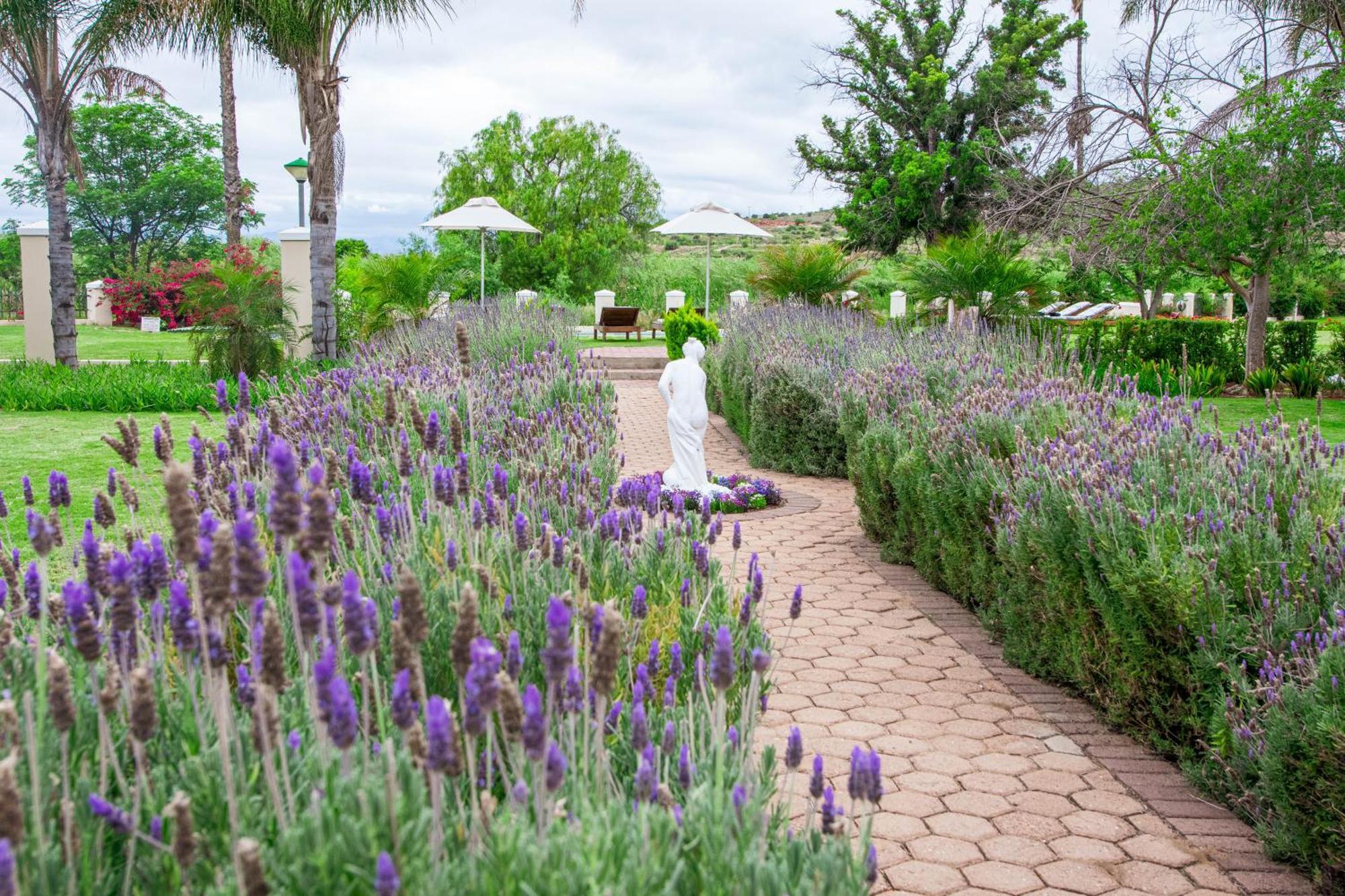 Bakenskraal Ostrich Palace Oudtshoorn Dış mekan fotoğraf